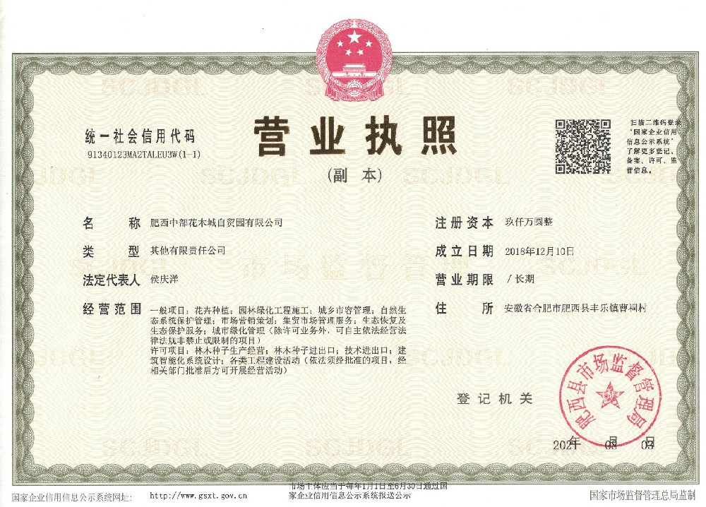 肥西中部花木城自贸园执照